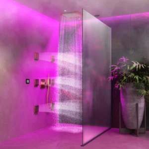 Wellness Shower | Basic 8