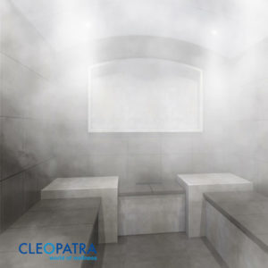 Ultrasteam